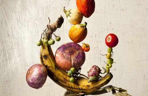 Description of the image content, including any relevant details and context. Google prioritizes content that is accessible and informative, which can enhance SEO and improve search engine rankings.