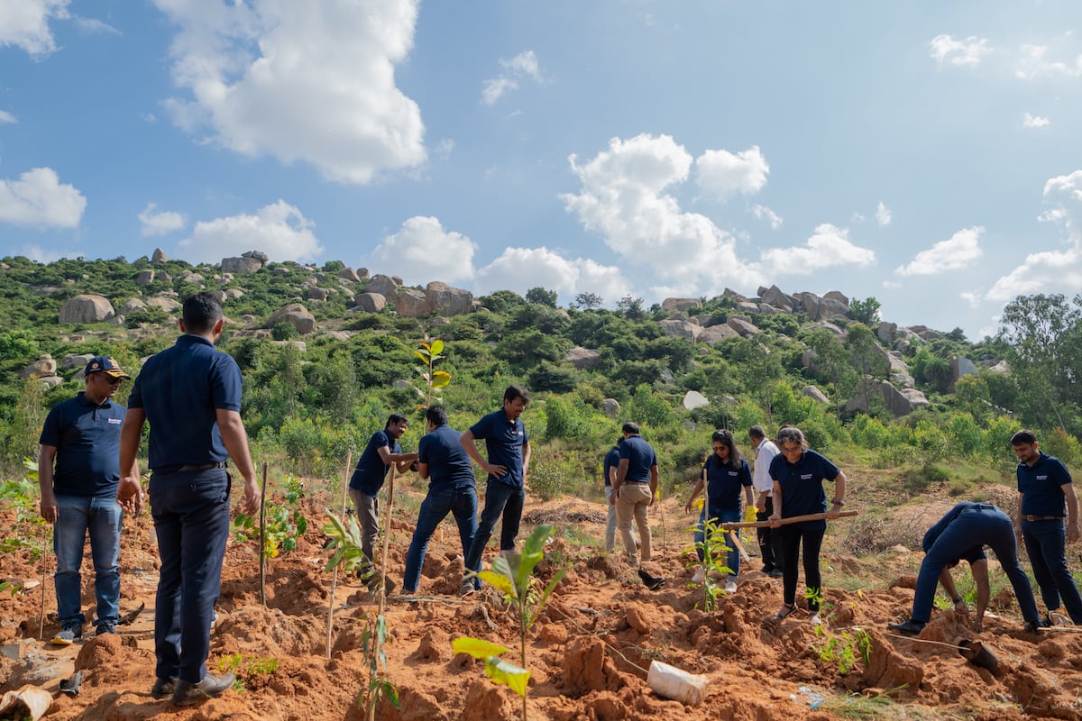 workers in blue Brookfield tshirts digging in garden