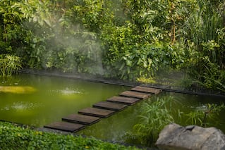 pond with wooden bridge