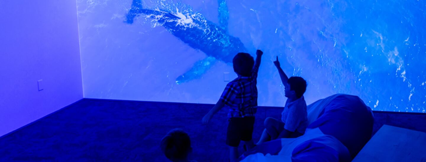 kids looking at aquarium