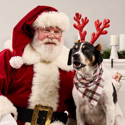 Santa with a dog