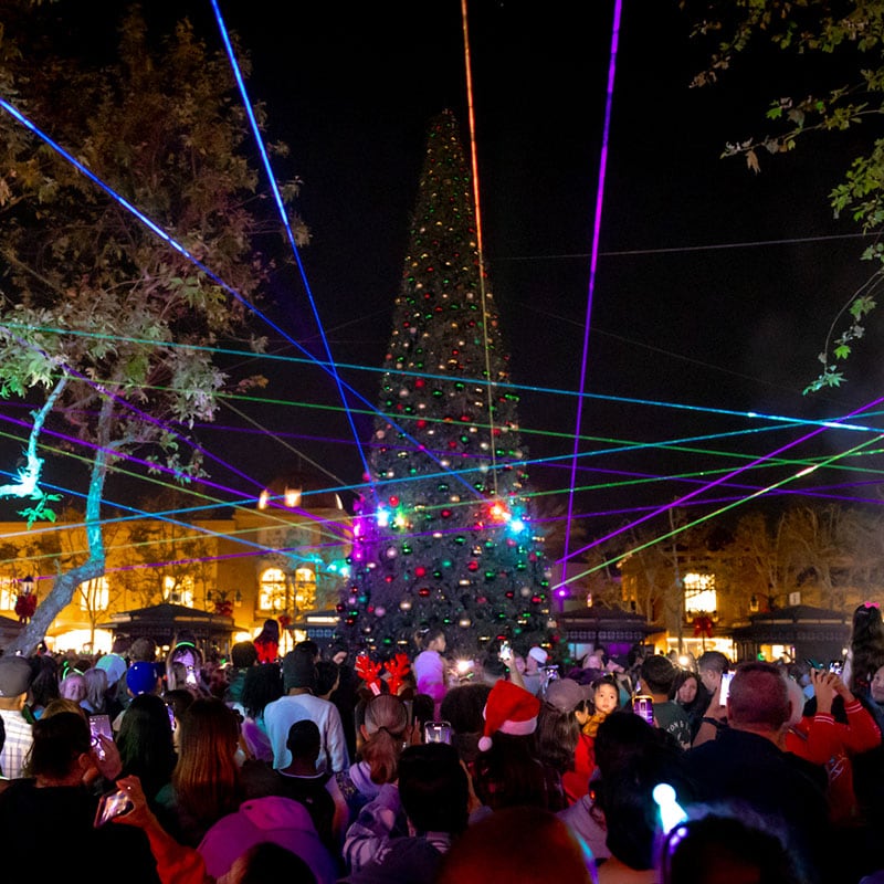 Christmas tree lighting