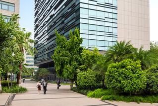 India Sustainability 2025