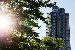 Exterior of Two Blue Slip building in Brooklyn New York with tree and sunlight