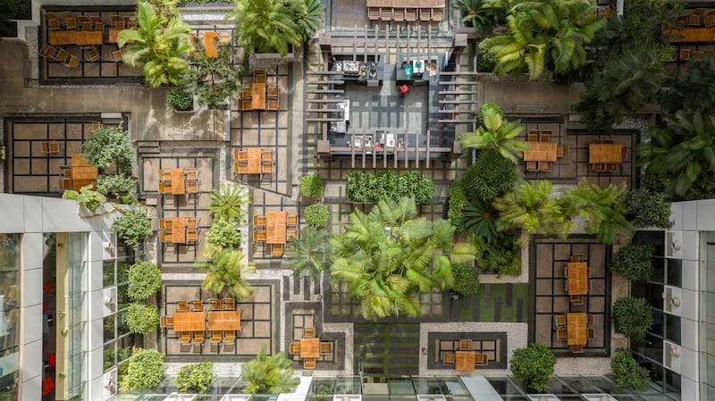 A bird's eye view of a biophilic courtyard