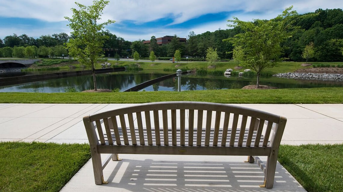 bench overlooking lake
