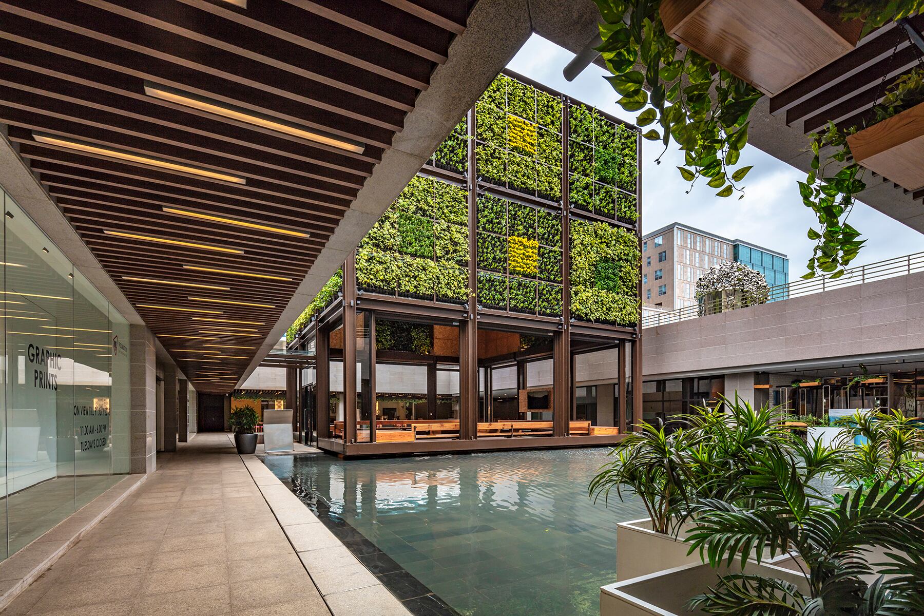 a courtyard area with some water and walls with greenery