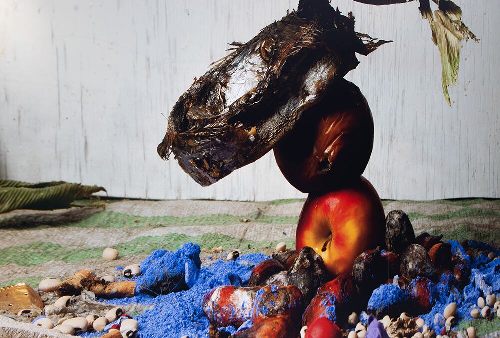 A creative still life composition featuring a stack of organic objects — including a dried fish head, red apples, and other decaying fruits — arranged on a surface sprinkled with bright blue powder, beans, and seeds. The background is a weathered white wall, giving the scene an artistic yet raw aesthetic that evokes natural decay and transformation.