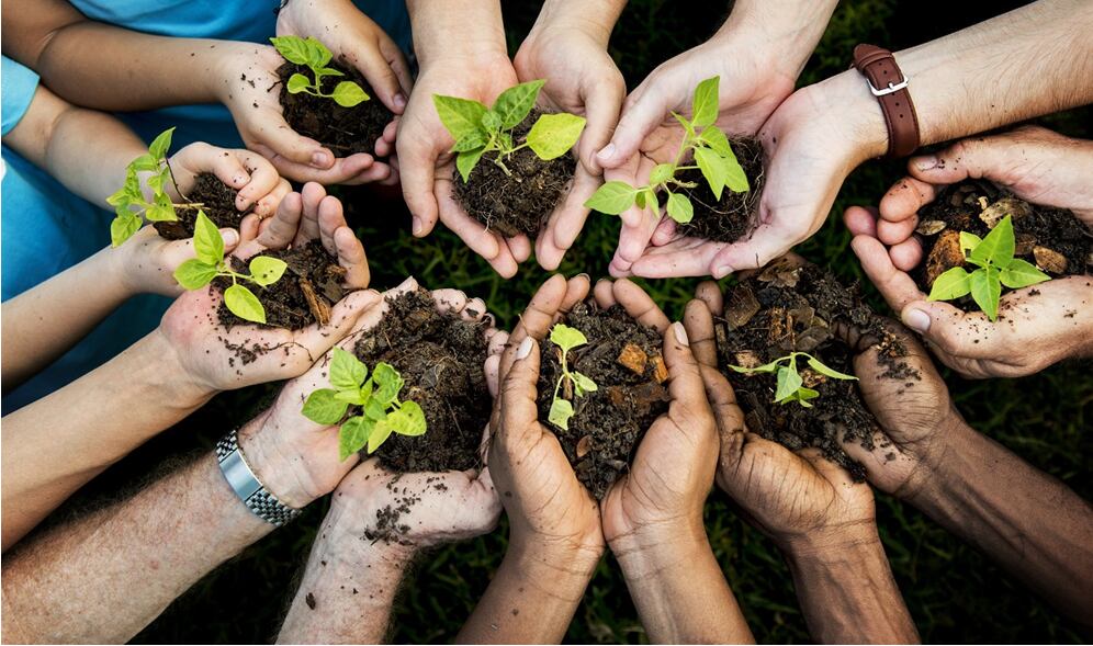 hands holding plants and dirt in a circle