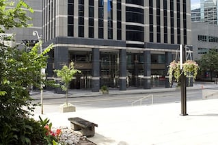 A tiled courtyard with some hanging plants and bushes at the side. Over the road is an imposing dark building.