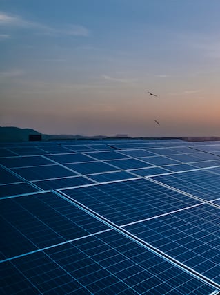 solar panels
