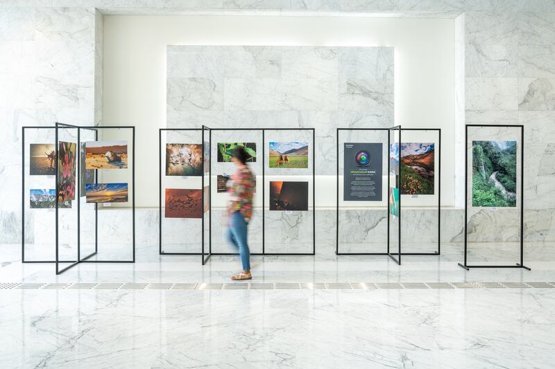 A display of art on clear glass panes in front of a large white and gray wall. One person is blurred walking past it.