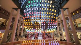 Brookfield Place Winter Garden holiday lights