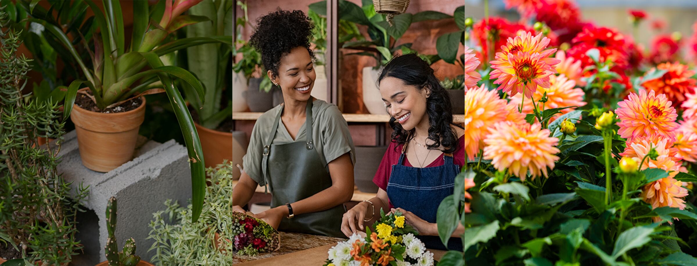 Two women in flower shop