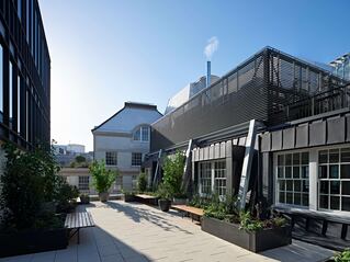 Outdoor space with plants and benches.