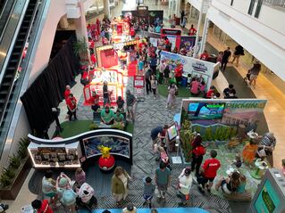 Experiential events and tours